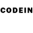 Галлюциногенные грибы GOLDEN TEACHER Kolol 083