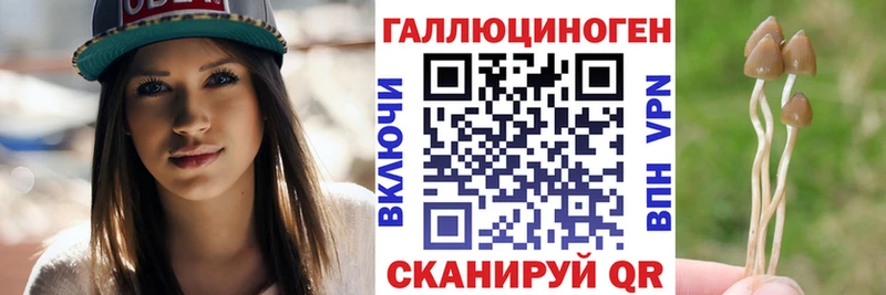Псилоцибиновые грибы Psilocybine cubensis  блэк спрут   Навашино  магазин продажи  